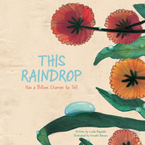 This Raindrop: Has A Billion Stories To Tell