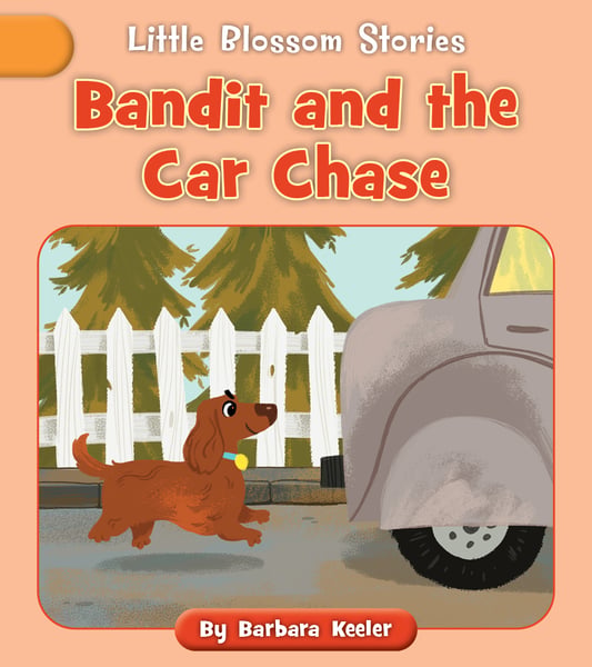 Bandit And The Car Chase