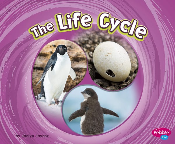 Life Cycle, The