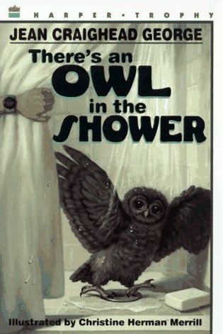 There's An Owl In The Shower