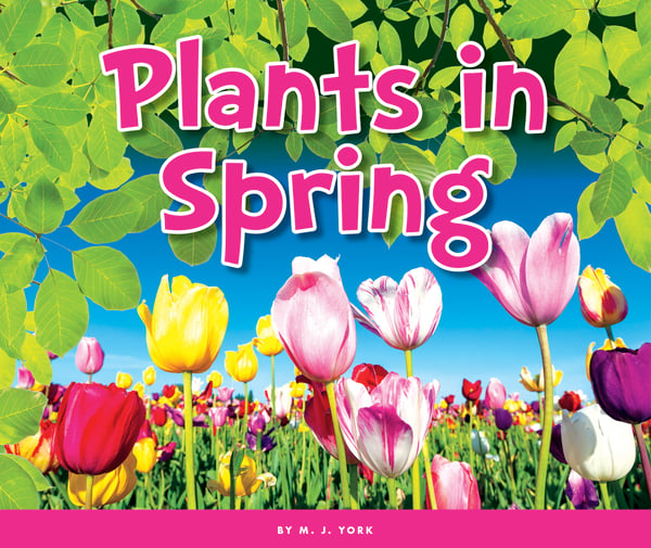 Plants in Spring