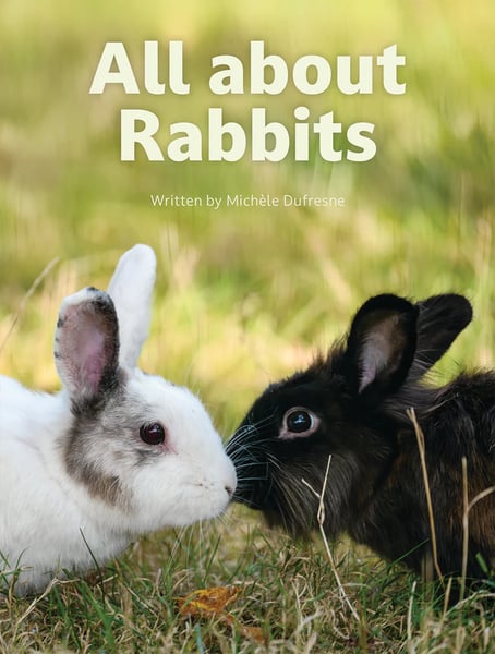 All About Rabbits