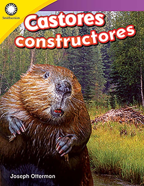 Castores Constructores (Building A Beaver Lodge)
