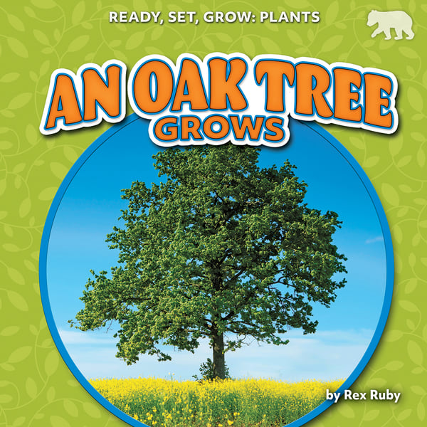 Oak Tree Grows, An