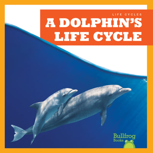 Dolphin's Life Cycle, A