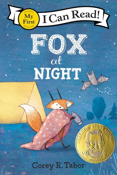 Fox At Night