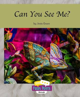 Can You See Me?