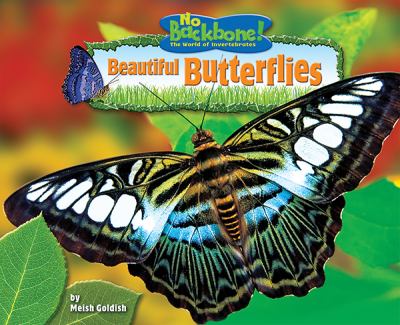 Beautiful Butterflies