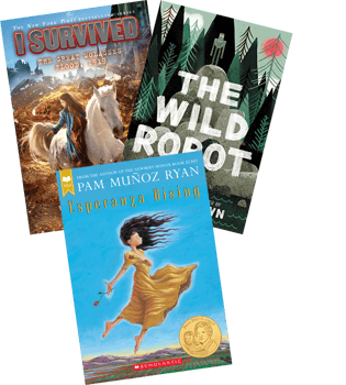 Grade 4 Budget Friendly Complete Collection