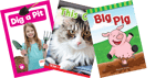 New York City Take Home Pack, Kindergarten Short I