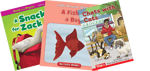 New York City Take Home Pack, Grade 1 Digraphs