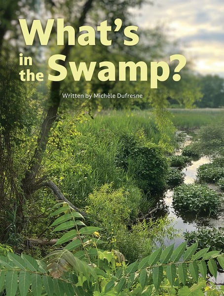 What's In The Swamp?