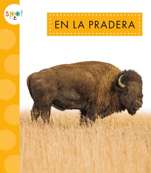 En La Pradera (On The Prairie)