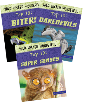 Wild Wicked Wonderful Top 10