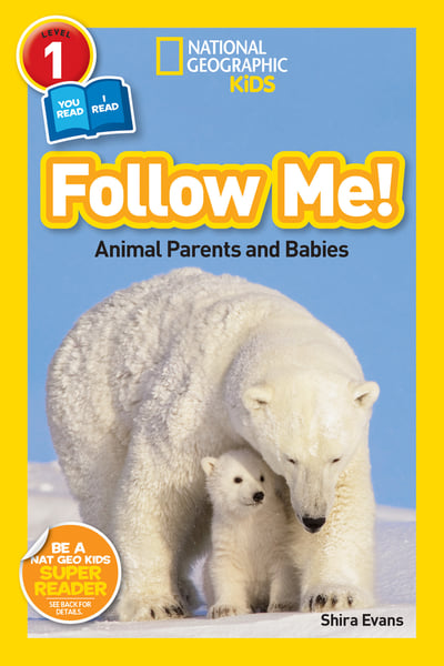 Follow Me
