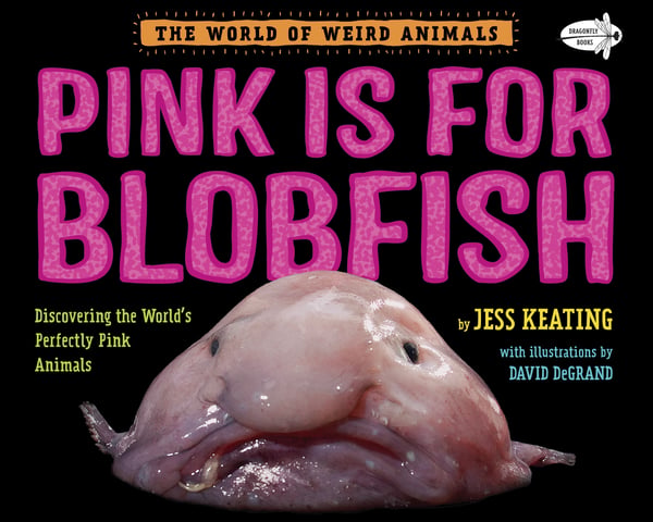 Pink Is For Blobfish: Discovering The World's Perfectly Pink Animals