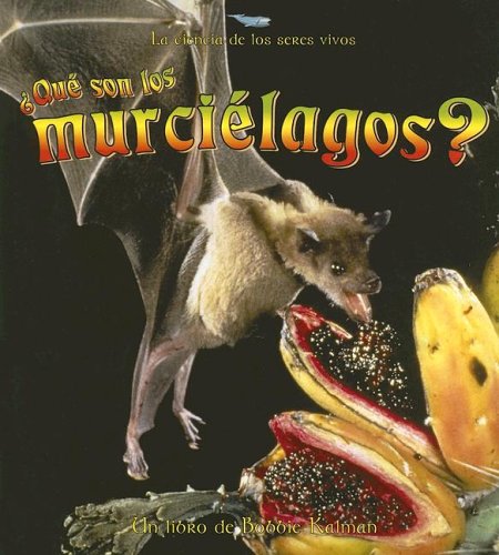 Que Son Los Murcielagos? (What Is A Bat?)