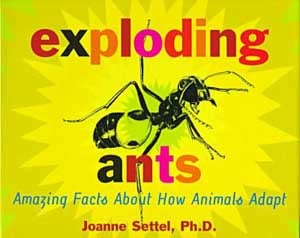 Exploding Ants: Amazing Facts About How Animals Adapt