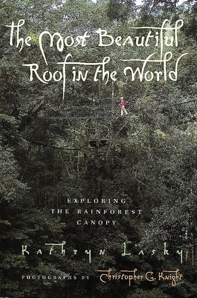 Most Beautiful Roof In The World, The