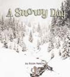Snowy Day, A