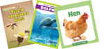 Animals (A-D) Kindergarten