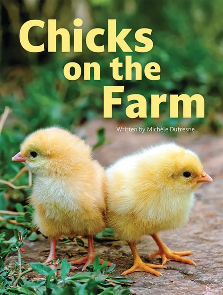 Chicks On The Farm