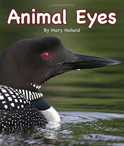 Animal Eyes