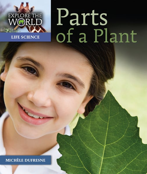 Parts Of A Plant