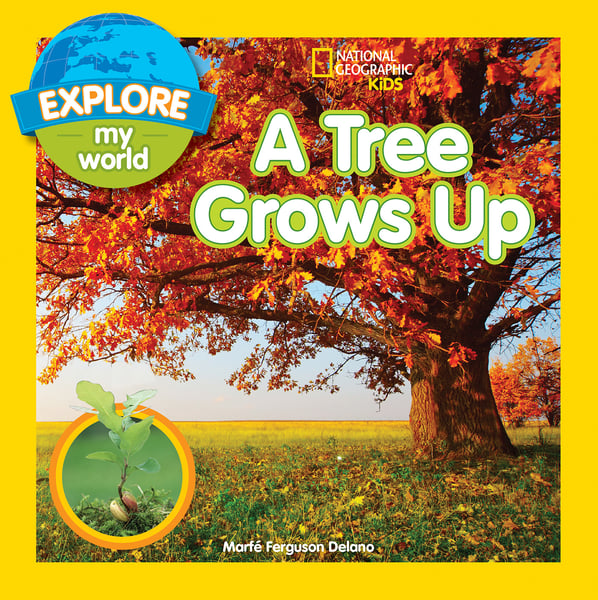 Tree Grows Up, A