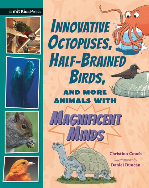Innovative Octopuses, Half-Brained Birds, And More Animals With Magnificent Minds