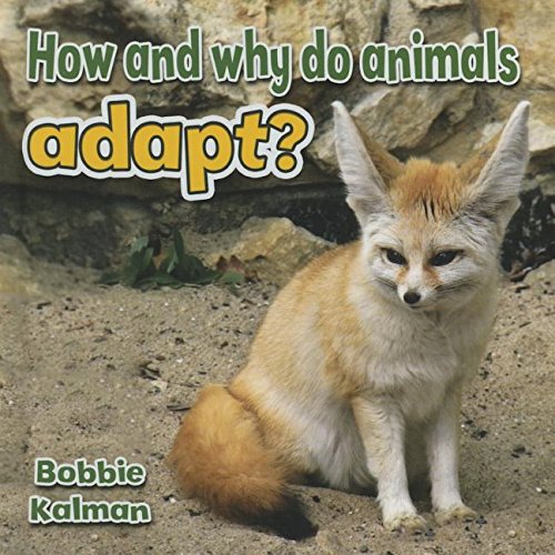 How And Why Do Animals Adapt?