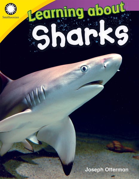 Learning About Sharks