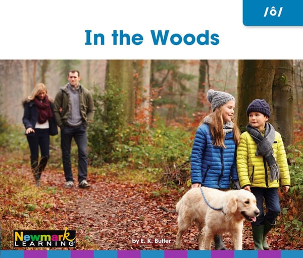 In The Woods