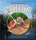 Life Cycle Of A Mosquito, The