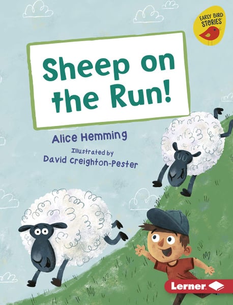 Sheep On The Run!