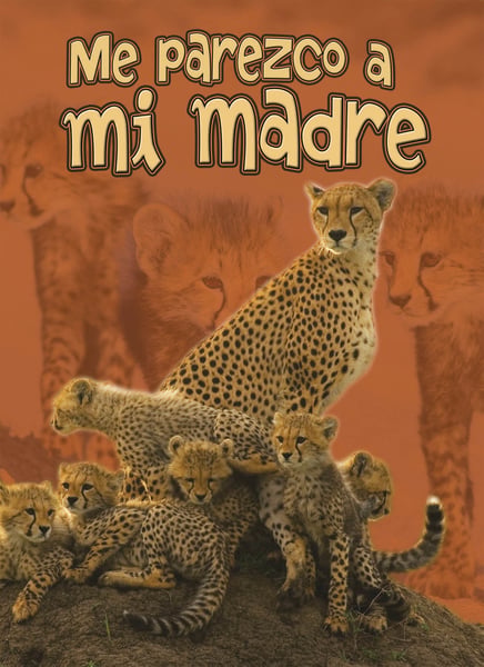 Me Parezco A Mi Madre (I Look Like My Mother)