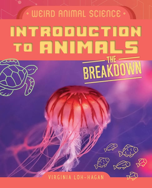 Introduction To Animals