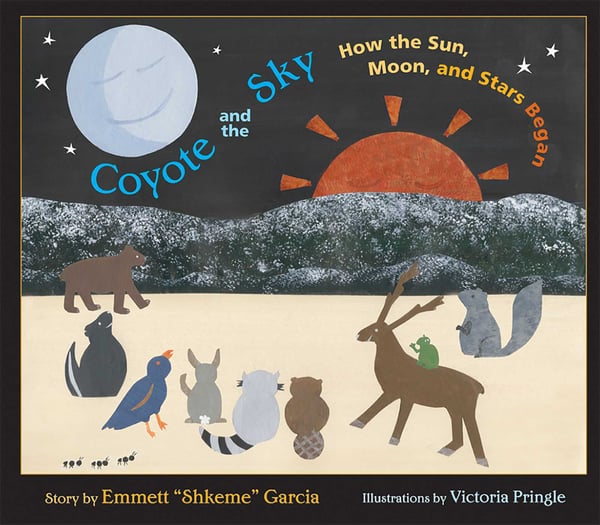 Coyote And The Sky