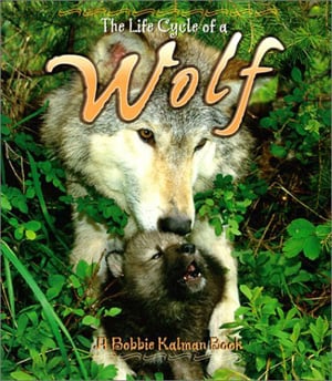 Life Cycle Of A Wolf, The