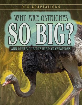 Why Are Ostriches So Big? And Other Curious Bird Adaptations