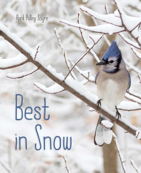 Best In Snow