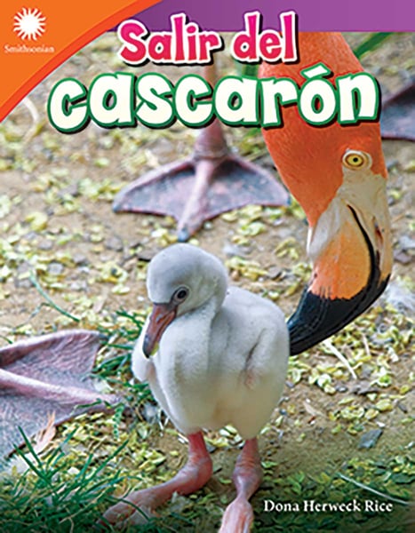 Salir Del Cascaron (Hatching A Chick)