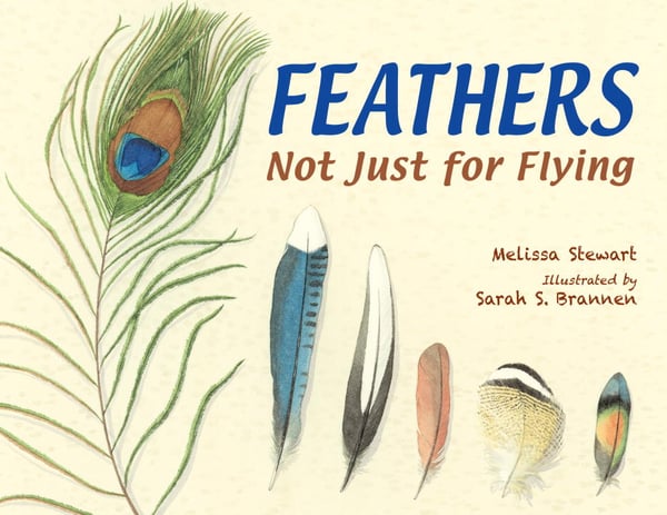 Feathers: Not Just For Flying