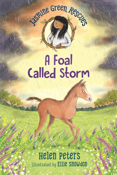 Foal Called Storm, A