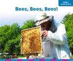 Bees, Bees, Bees