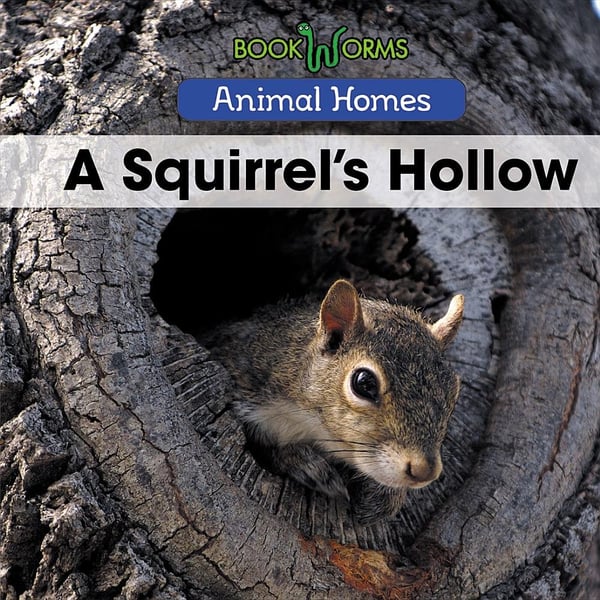 Squirrel's Hollow, A