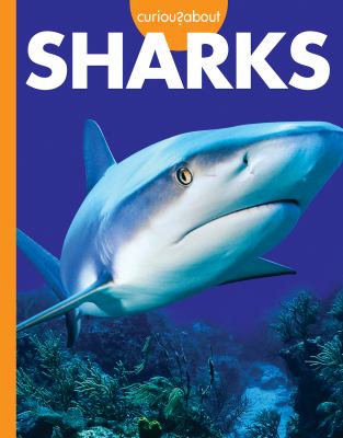 Curious About Sharks