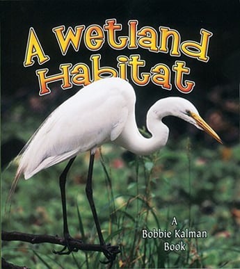 Wetland Habitat, A