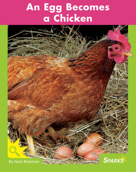 Egg Becomes A Chicken, An