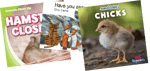 Below Level Animals (A-D) Grade 1